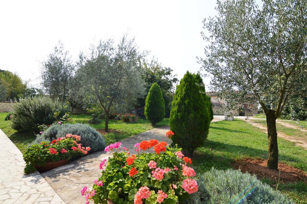 Garden Apartment Maria Vrsar Luaran gambar